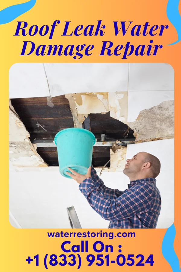 Roof Leak Water Damage Repair in Benjamin Perez, TX