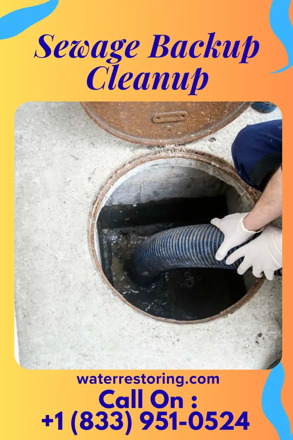 Sewage Backup Cleanup in Benjamin Perez, TX
